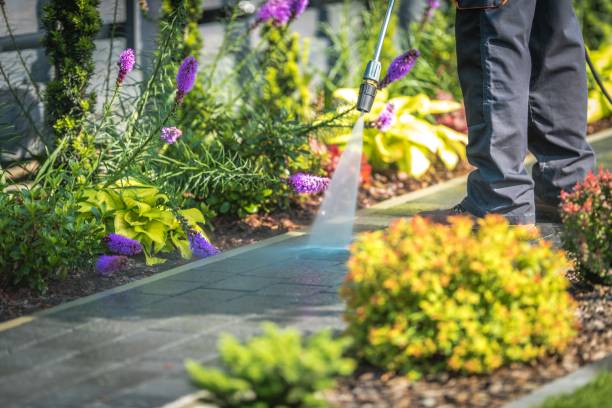 Best Pool Deck Cleaning  in North Bellmore, NY